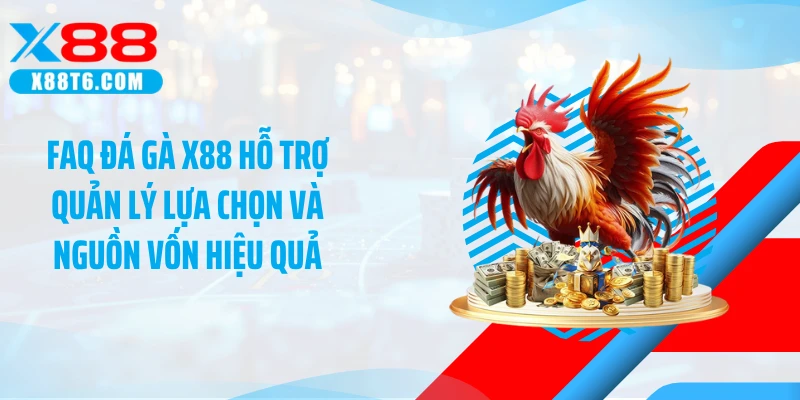FAQ đá gà X88 hỗ trợ quản lý lựa chọn và nguồn vốn hiệu quả